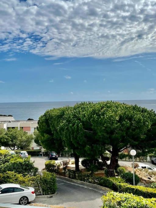 Joli Studio Cosy De 31 M2 Bord De Mer Acces Pmr 4Personnes La Ciotat Exteriér fotografie